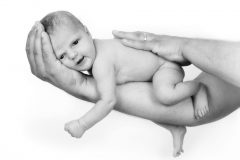 Baby_46