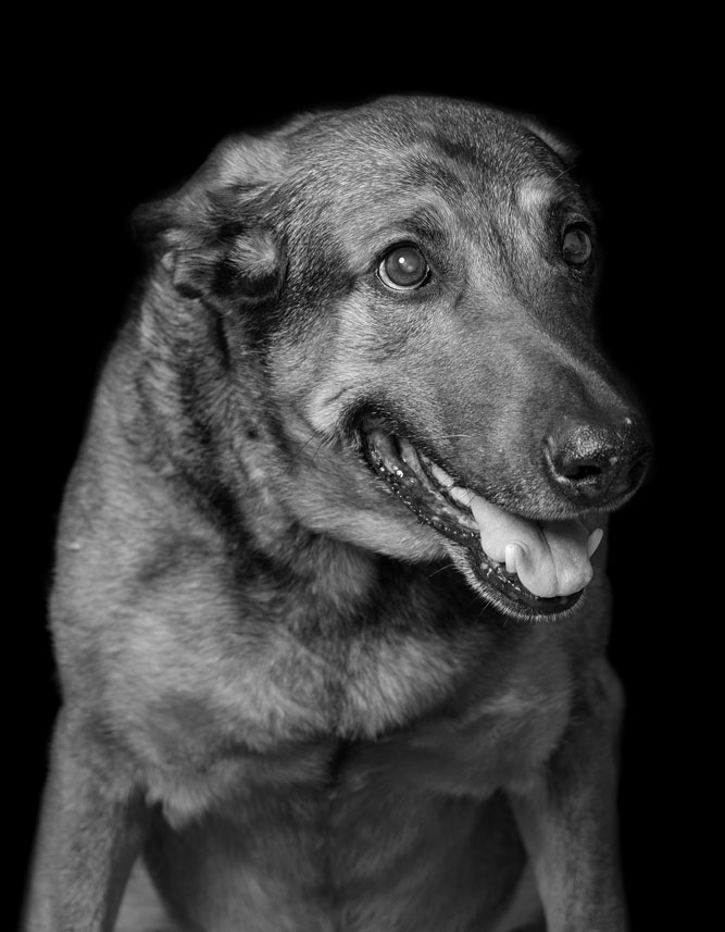 Tiere_23