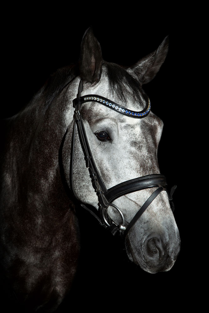 Tiere_25