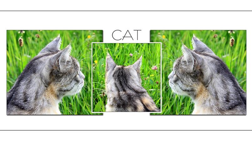 Tiere_35