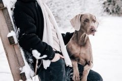 Tiere_03