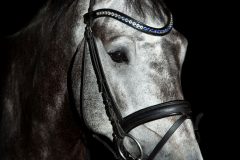 Tiere_25