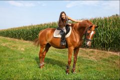 Tiere_31